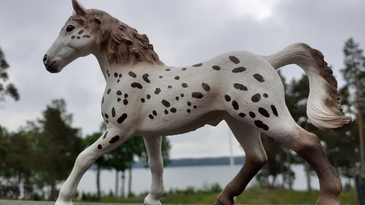 Schleich
